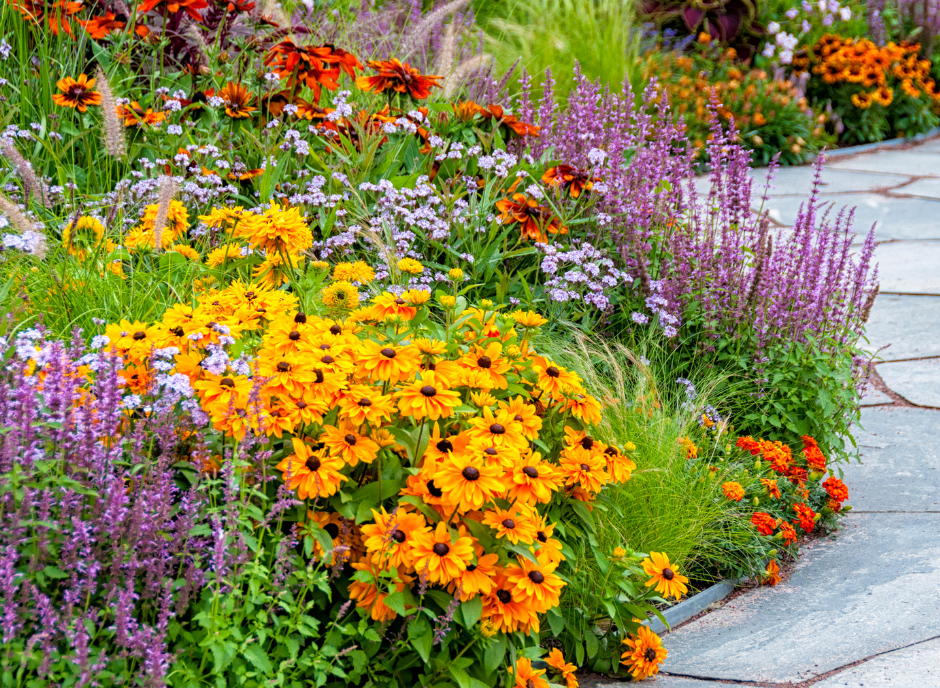 Turn Your Yard Into A Pollinator Garden With These 8 Native Plants ...