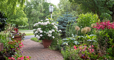 Landscaping 101: The Many Benefits of Landscaping, Plus 7 Plants To Get You Started