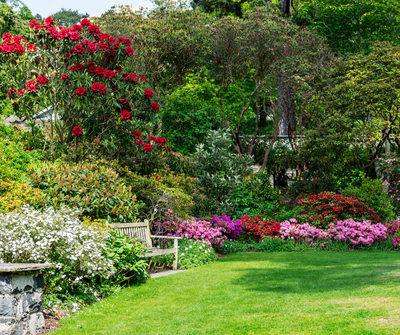 Layered Landscaping: Add Vertical Interest With These 9 Perennials
