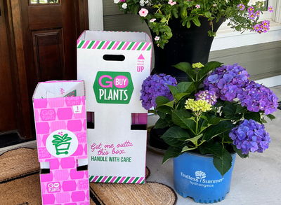 Express Your Gratitude With Plants–The Perfect Gift for any Occasion!