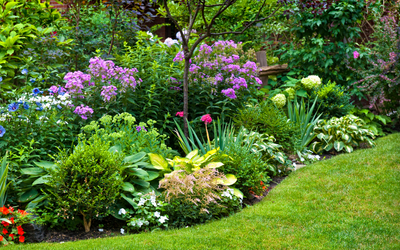 Our Top 10 Perennials for Your Spring Garden
