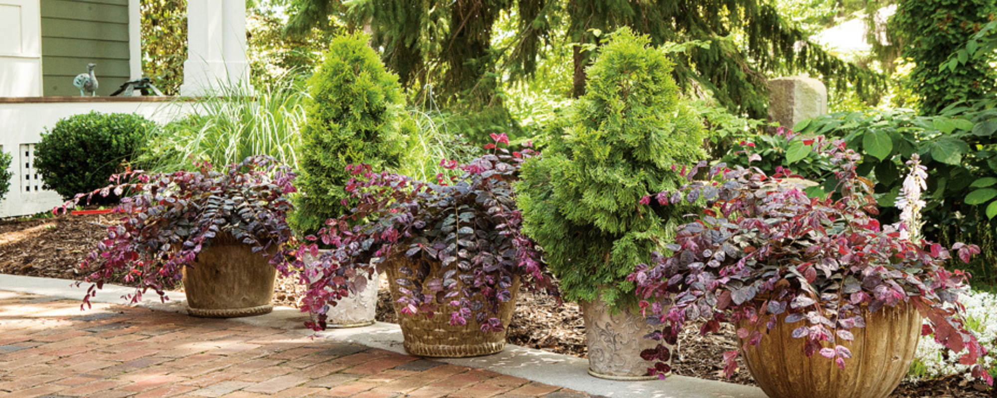 Perfect for Planter Pots