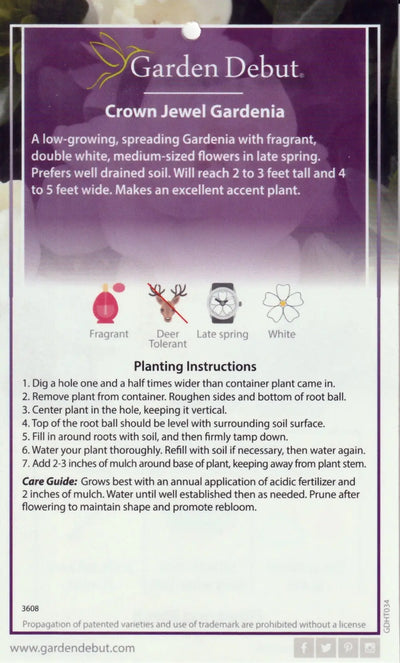 Gardenia Crown Jewel  ~ PP#19896