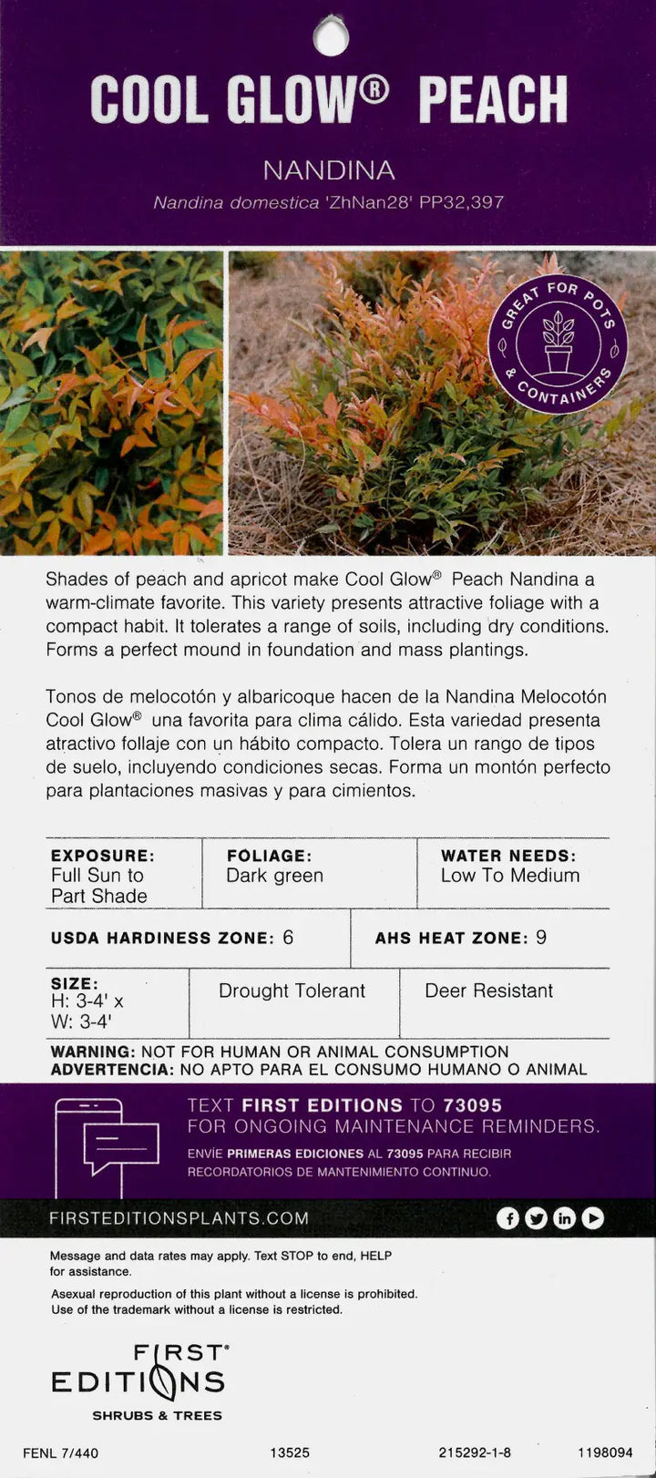 Cool Glow Peach Nandina with peach apricot and green foliage