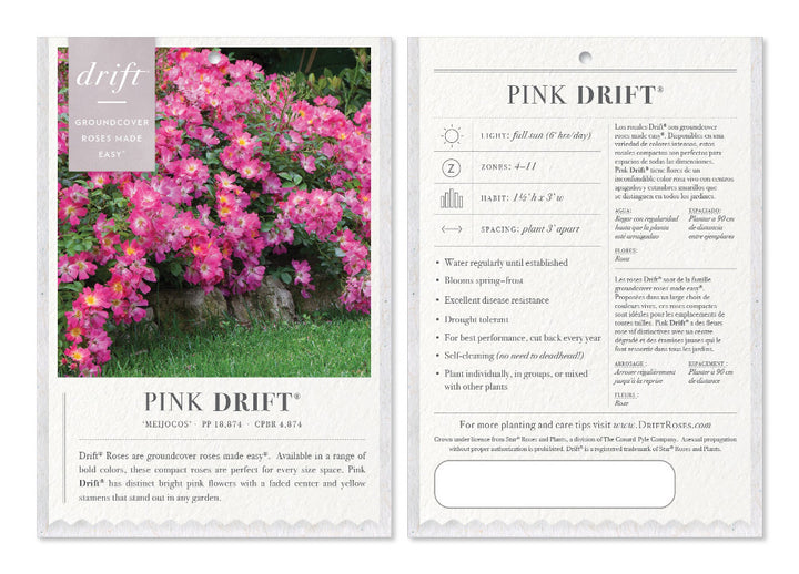 (再販)Ｓ～Ｍ／秘密の花園に咲く可憐なピンク薔薇が可愛いアイボリー娘役レオタード Pink_Pony_Elderberry_with_dark