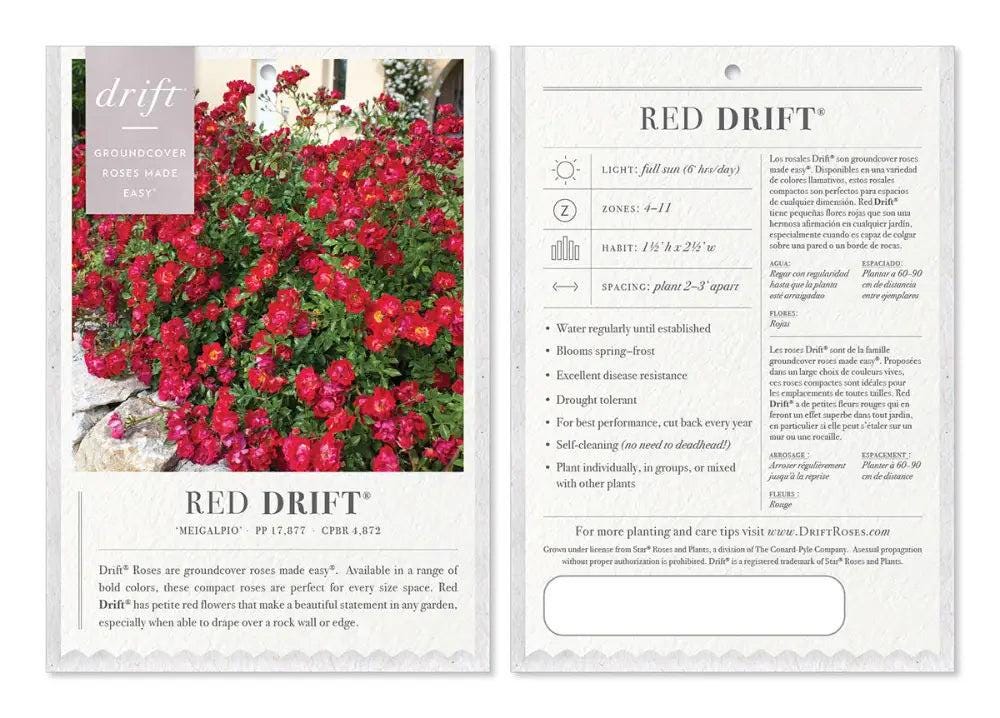 Rose Red Drift® bush with vibrant red flowers and green foliage, ideal for landscape and garden with GoBuyPlants® branding.