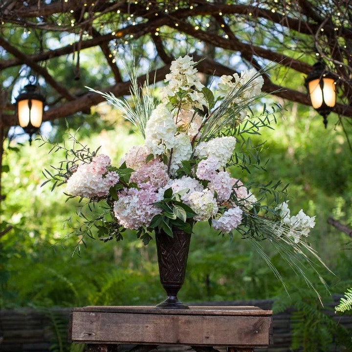 Hydrangea p. Strawberry Sundae® bush with vibrant pink and white flowers, lush green foliage, and full bloom display.