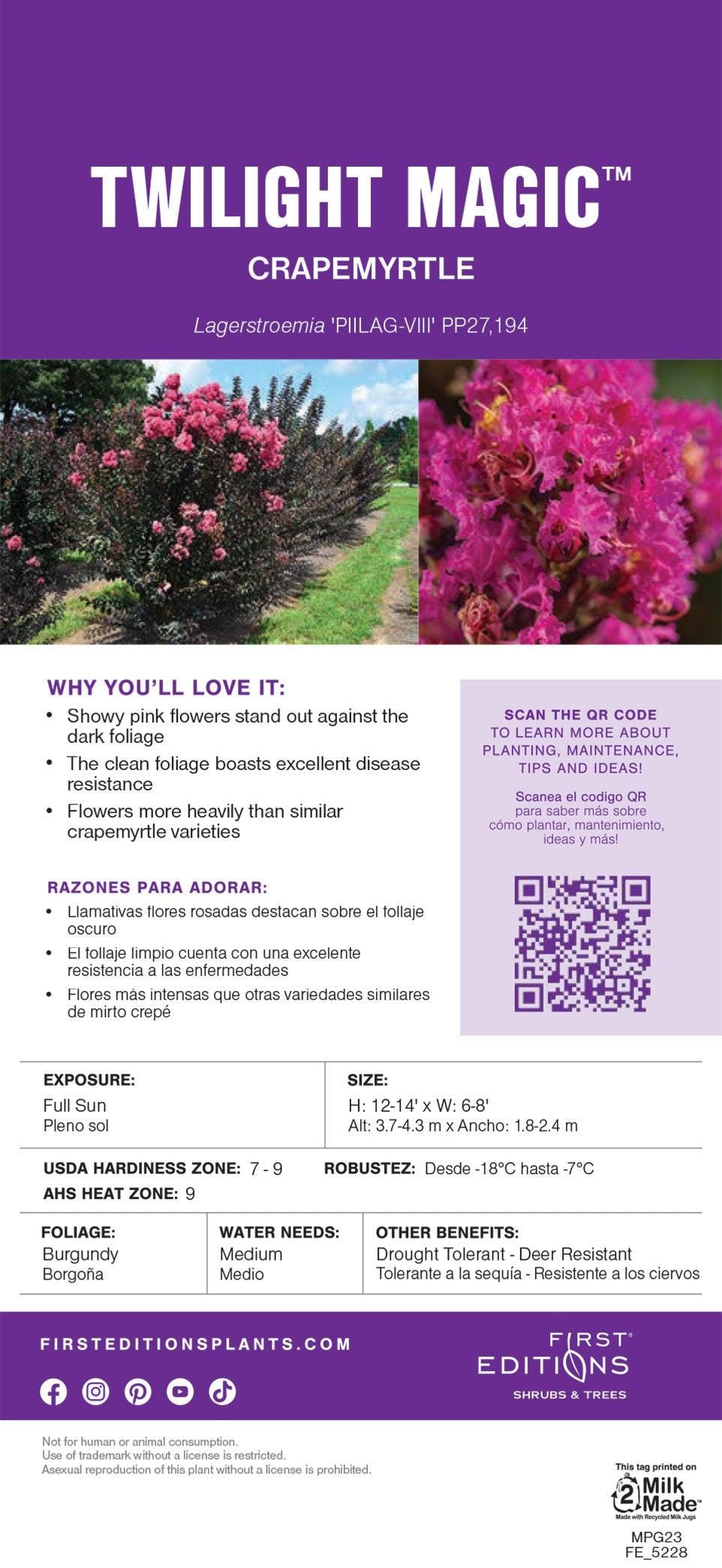 Crape Myrtle Twilight Magic™ bush with vibrant purple flowers, lush green foliage, and a sturdy tree trunk, in a garden setting.
